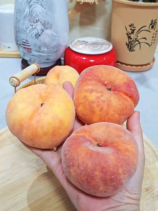 甜到心坎里的桃子🍑果皮还薄!咬开之后直接在嘴里爆汁!又脆又甜还带着花果香!一口就沦陷了 谁懂呀😋#蟠桃 #新鲜采摘 #应季水果 #桃子超甜 #水果罐头