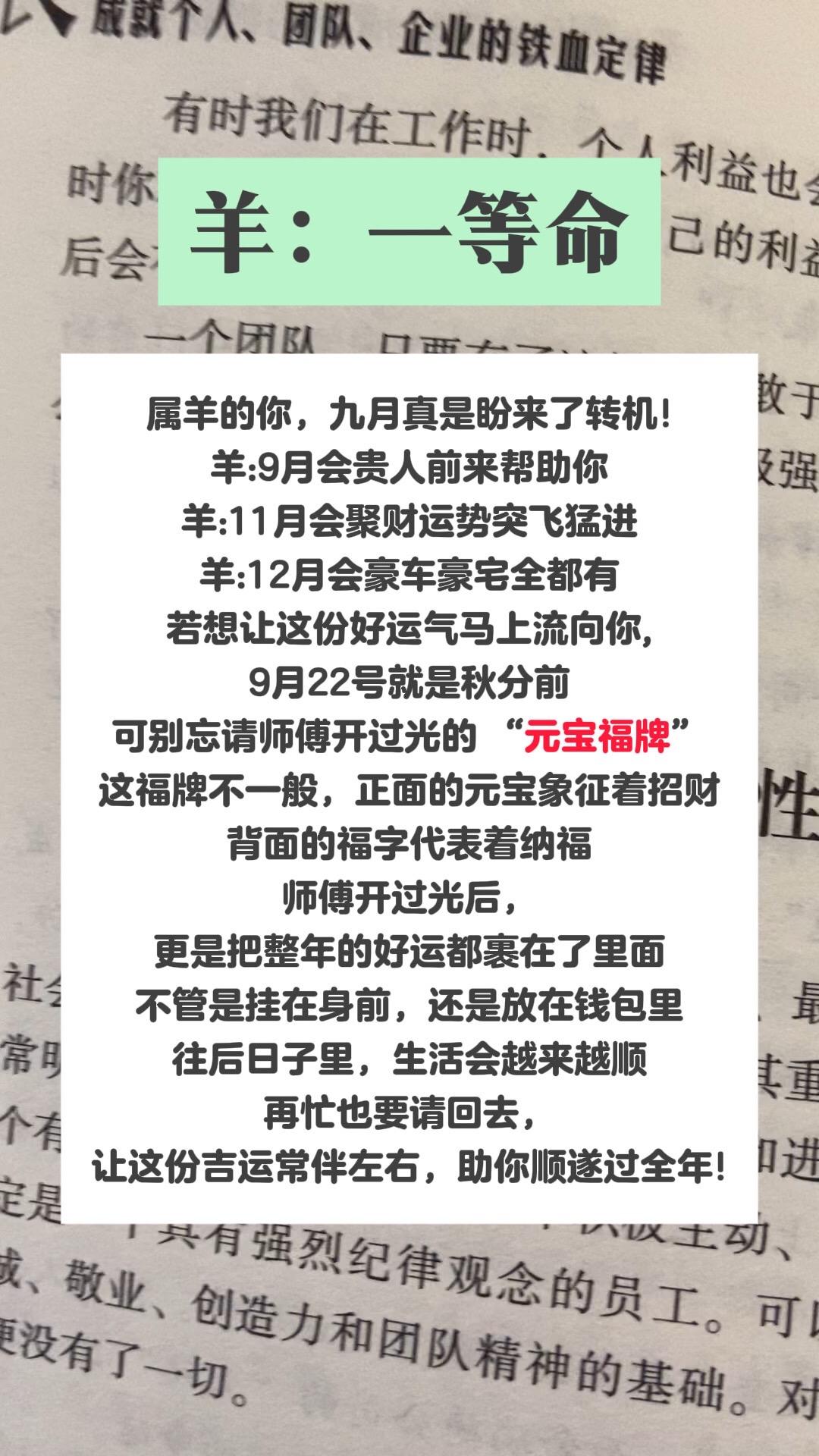 #生肖羊#1967年的羊#1979年的羊#1991年的羊