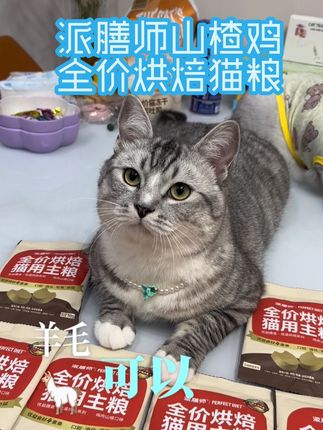 派膳师山楂鸡全价烘焙猫粮~~也出事试吃了一个ID只能薅一单,赶紧安排薅~~😋😋 #派膳师 #派膳师猫粮 #派膳师鲜食 #派膳师山楂鸡 #派膳师山楂鸡猫粮 @派膳师官方旗舰店