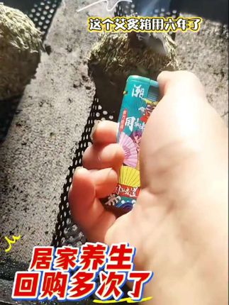 端午蕲艾叶艾叶艾草艾叶纯手工挑选泡澡泡脚可以搭配枸杞#艾叶#艾叶的妙用 #艾草#艾炙#自用好物分享 #艾草
