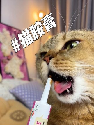 换季是猫鼻支高发期!小猫爱阿嚏阿嚏的一定要备好猫胺膏!#科学养宠 #乐施猫胺膏
