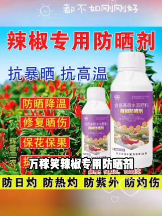 万稼笑辣椒专用防晒剂保花保果防日灼防晒伤抗高温保护膜叶面肥#农业种植 #服务三农支持三农 #三农 #希望能帮到你