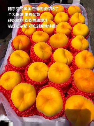 随手买的黄金毛蟠桃被惊艳了,个大饱满 果肉金黄,硬吃脆甜 软吃香甜爆汁,桃味超浓郁 好吃到原地转圈! #蟠桃 #快来一起尝个鲜 #黄金毛蟠桃 #现摘新鲜水果 #优质农产品