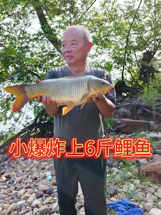 上爆炸上6+鲤鱼#野钓 #户外垂钓 #钓大鱼 #小爆炸 #休闲野钓