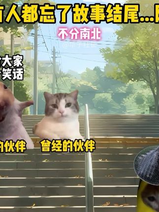 当所有人都忘了故事结尾…除了你#猫meme #三万天 #歌曲三万天
