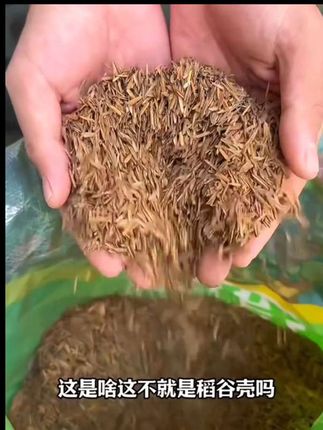 高温发酵腐熟稻壳种花多肉君子兰松土,透气营养腐熟稻壳#发酵稻壳#三农流量扶持上热门 #养殖好帮手 #发酵稻壳