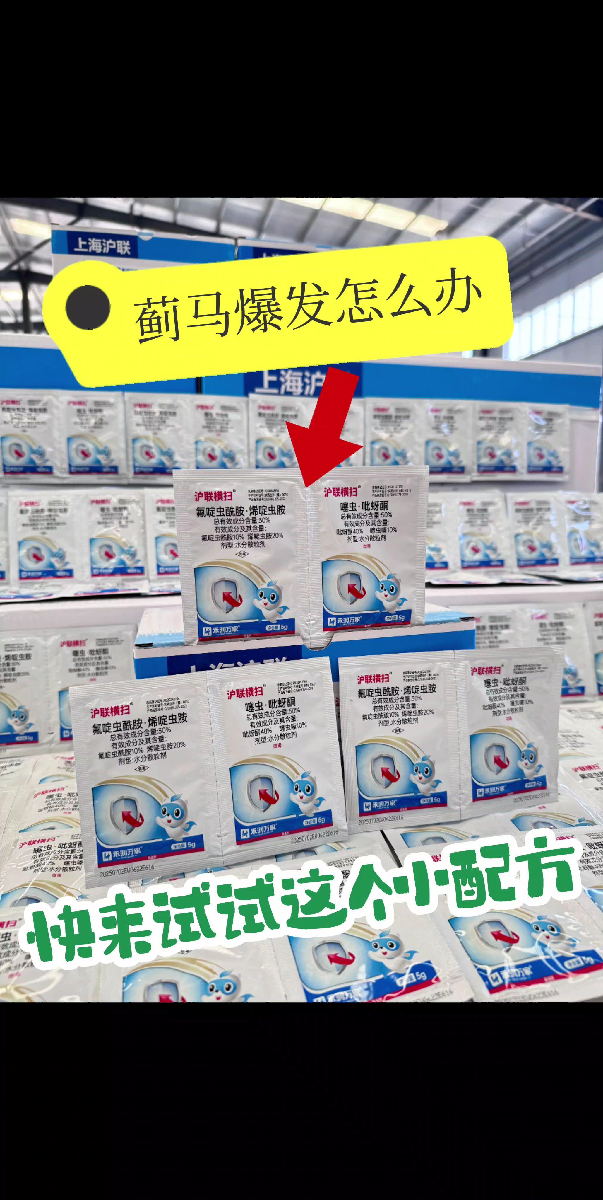 #病虫害防治 #蓟马 #虫害防治 #杀虫剂 #农业种植