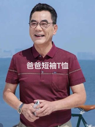 爸爸夏装短袖t恤上衣#男士Polo衫#中老年男装爷爷夏季宽松上衣#每日分享 #每日更新 #助手抖音