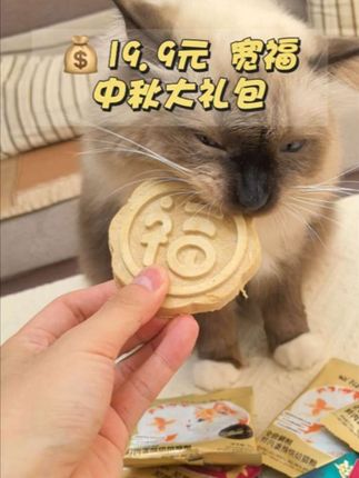 小猫咪也有中秋大月饼吃啦🥰,谢谢宽福~#中秋 #萌宠好物 #新手养猫 #宽福
