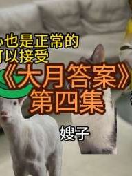 《大月答案》第四集#知乎推文 #搞笑