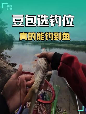 豆包帮选的钓位还真的能钓到鱼!#高精力人的过年安排 #钓鱼大神支个招 #钓鱼王地狱猫 #汉鼎一号六代 #汉鼎真材实料放心入
