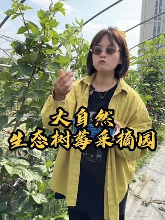 这个假期来摘树莓啦#新鲜采摘体验 #果园新鲜采摘 #树莓#亲子采摘好去处