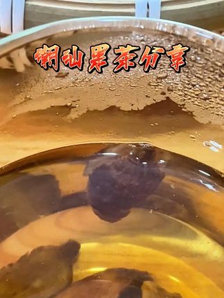 #我的乡村生活 #日常生活 #新鲜现挖 #一份耕耘一份收获 #潮汕人