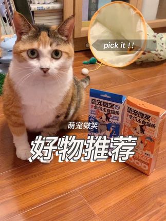 川川打滚儿推荐的主食猫条#萌宠微笑 #养猫新手 #吃货猫 #猫零食 #萌宠微笑猫条