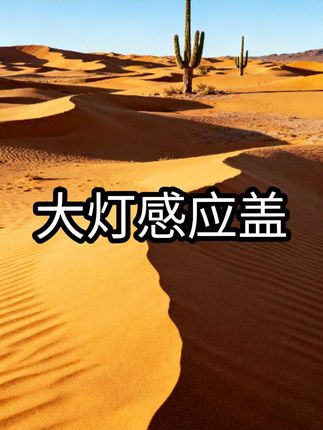 #木森 #木森大舞台 #大灯感应盖 #感应盖 #大灯盖