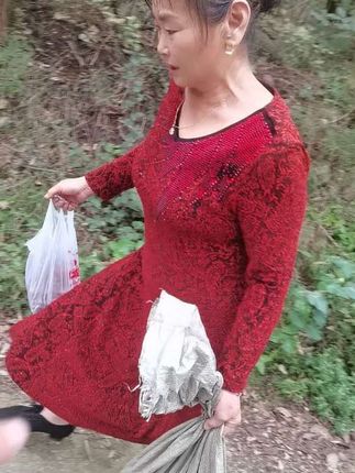 都是偷栗子的哈哈