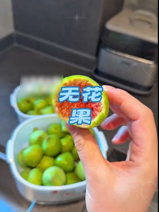 巨好吃,香甜软糯~留蜜非常甜 #应季水果 #无花果 #山东青皮无花果 #青皮无花果 #新鲜采摘