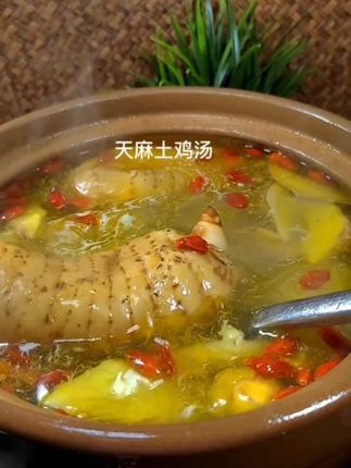 #养生汤 #好吃又营养 #天麻 贵州高山新鲜天麻#优质农产品 现挖现发#强烈推荐