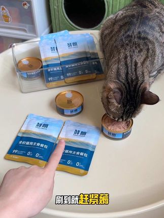 鲜朗湿粮礼包到手一共主食罐两个餐包趁有活动抓紧冲#新手养猫 #萌宠好物 #快赶紧拿给猫猫吃吧 #鲜朗餐包