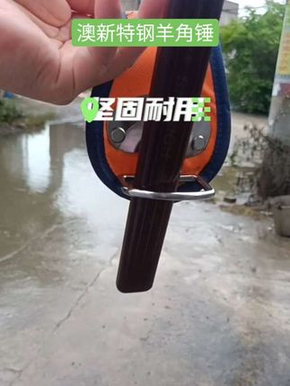澳新特钢羊角锤,拔钉轻松搞定,特钢材质,结实耐用#高性能实用工具 #实用工具 #五金工具