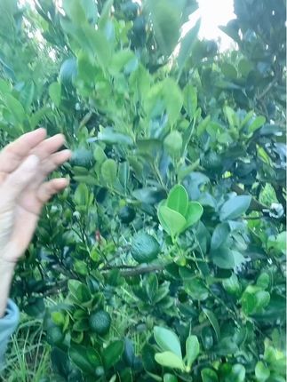 #我的农村生活日常 #热得快炸了 #爆款视频创作 #抖音热搜 #日常生活