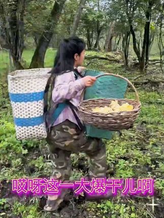 #男士神仙单品 乡村生活 黄金草茶 大自然的馈赠 大山里的味道 #嗷嗷叫茶 #黄金草#三农