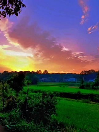 一抹夕阳映晚霞,风也轻柔,云也暇,此刻,尽是诗与画🎈#音乐 #农村生活