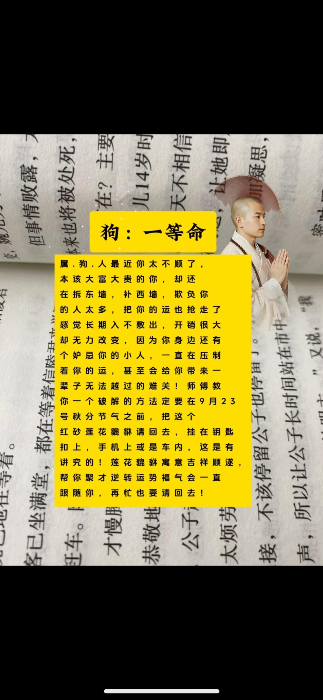 #70年的狗#82年的狗#94年的狗