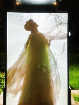 公主 快去看看御花园吧.烧起来了#国风 #入画 #宽肩窄腰 #仙女必备