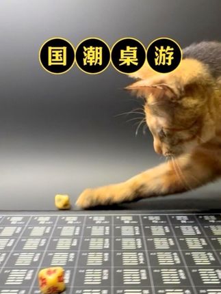玩着学才符合天性!#知识科普 #涨见识 #传统文化 #易学智慧 #知识科普