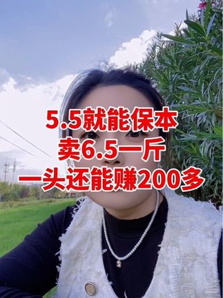 #三农 #三农流量扶持计划 #自繁自养 #自繁自养母猪