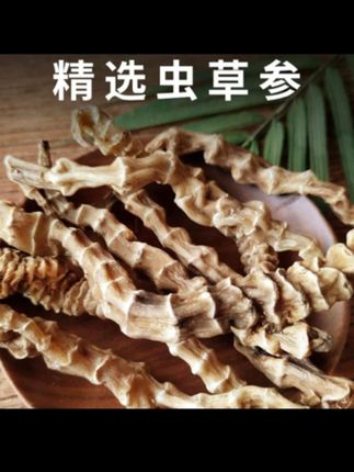 虫草参地参500g新鲜干货包邮可搭枸杞