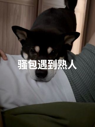 造孽啊……以后出门还是要乖一点! #安分守己的女人最美 #守妇道