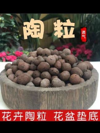 园艺陶粒盆栽垫底养花多肉石透气防烂根多肉垫底轻质陶土#陶粒 #陶土 #盆栽 #种植 #透气
