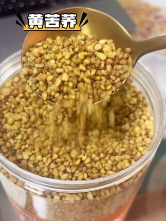 原来好的苦荞茶是这样的!颗粒饱满带胚芽,泡出色才正宗#粗粮 #苦荞 #黄苦荞 #黄苦荞茶 #美食