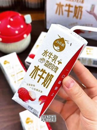 百菲酪荔枝玫瑰水牛奶,200ml*20盒,早餐优选!#网红饮品 #仙女都在喝什么 #热卖中的爆款 #好物推荐🔥 #网红爆款