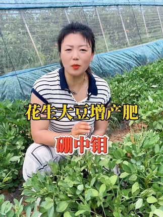 花生大豆增产专用肥。硼中钼,花多籽粒饱满@抖音小助手 #大豆种植