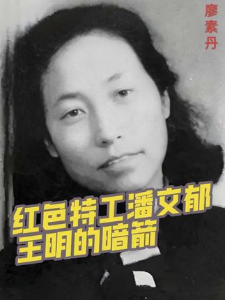 木秀于林,王明射来暗箭 #历史 #人物