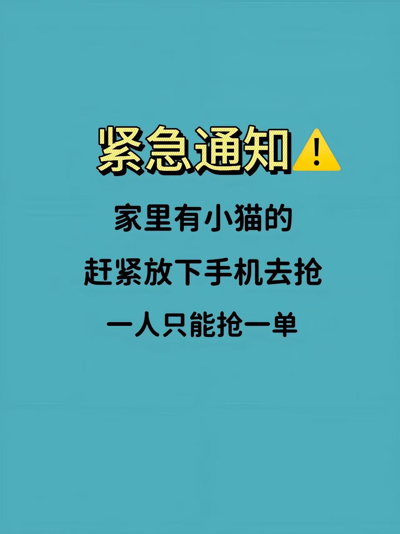 9.9两罐!88%的鲜肉和鲜内脏+10%的A2生牛乳,适口性好,小猫吃了健康肉不虚胖#新手养宠#科学喂养#猫粮测评#科学养宠攻略#科学养宠