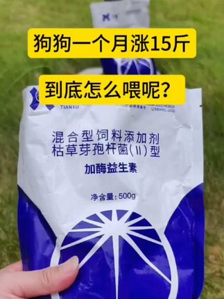 #科学喂养狗狗