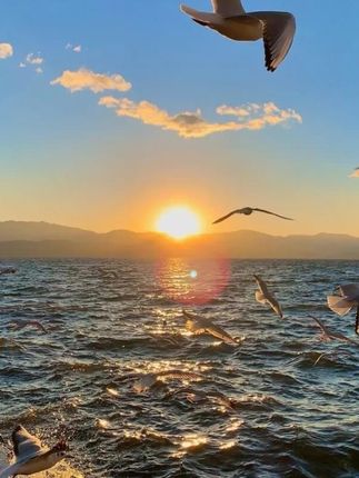 #宝妈推荐 #儿童保暖裤 #保暖裤 #面料柔软舒适 #母婴好物