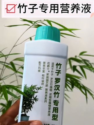 #竹子专用营养液 #竹子营养液 #竹子专用肥料 #竹子专用肥