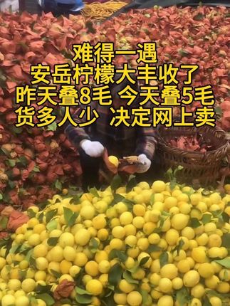 #应季水果 #快来一起尝个鲜 #四川安岳新鲜黄柠檬 #柠檬 #助农水果