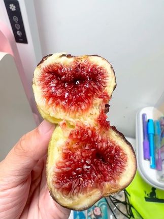 这个水果女生必吃呀!保护我们女性的小房子🏠满满的黄体酮,软糯香甜,颗颗流蜜 不愧是树上“糖包子”!#香甜软糯 #无花果 #吃无花果对身体的好处 #优质农产品 #新鲜采摘