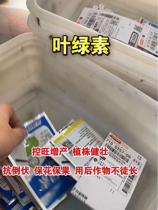 叶绿素#强烈推荐 #控旺增产#好物推荐🔥 @抖音热点