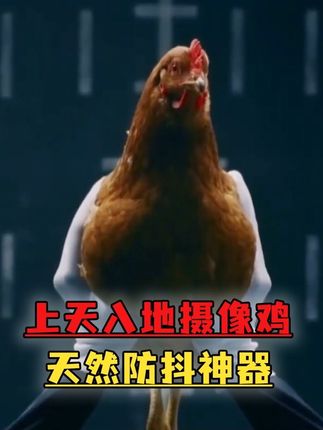 上天入地的摄像鸡,天然防抖神器! #涨知识 #每天跟我涨知识 #知识以卑鄙的手段进入了脑海里 #送TA上精选