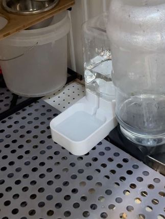 六个狗四个喝水的水桶,恨不得一人一个#宠物自动饮水器 #我和我的狗 #宠物狗狗视频 #金毛与萨摩耶