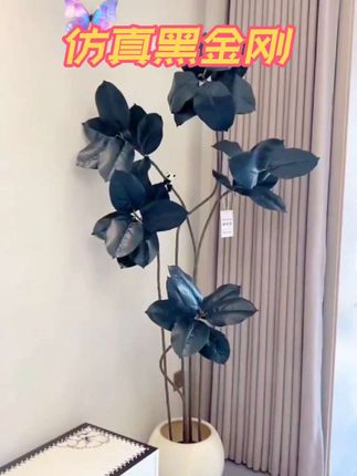 仿真绿植黑金刚高端轻奢橡皮树仿生植物室内落地家居盆栽假花盆景 #家居软装搭配 #客厅搭配 #绿植 #装饰品 #仿真黑金刚
