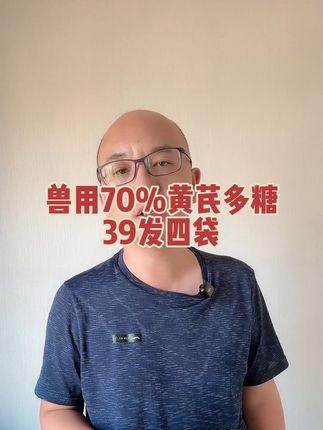 至前养猪一定要用黄芪多糖 #养猪人 #母猪养殖技术 #养猪技术 #养猪知识 #所有养猪人