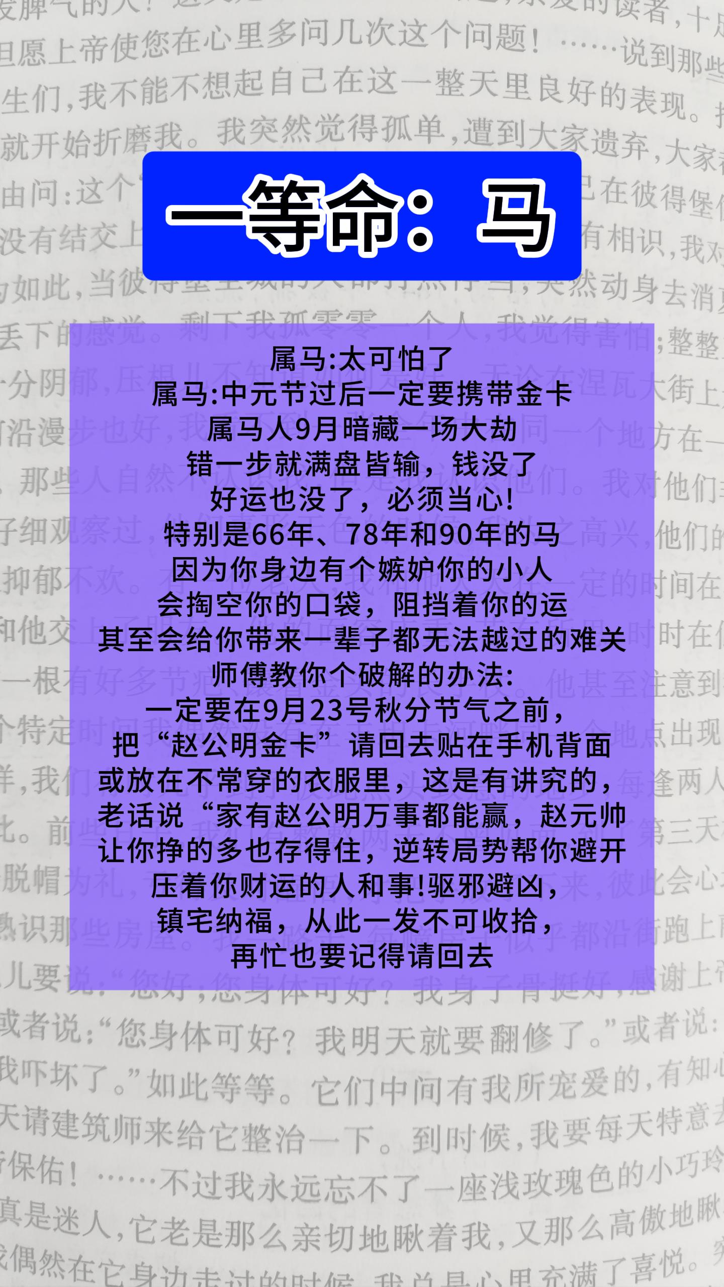 #1978的马 #1990的马 #1966年的马